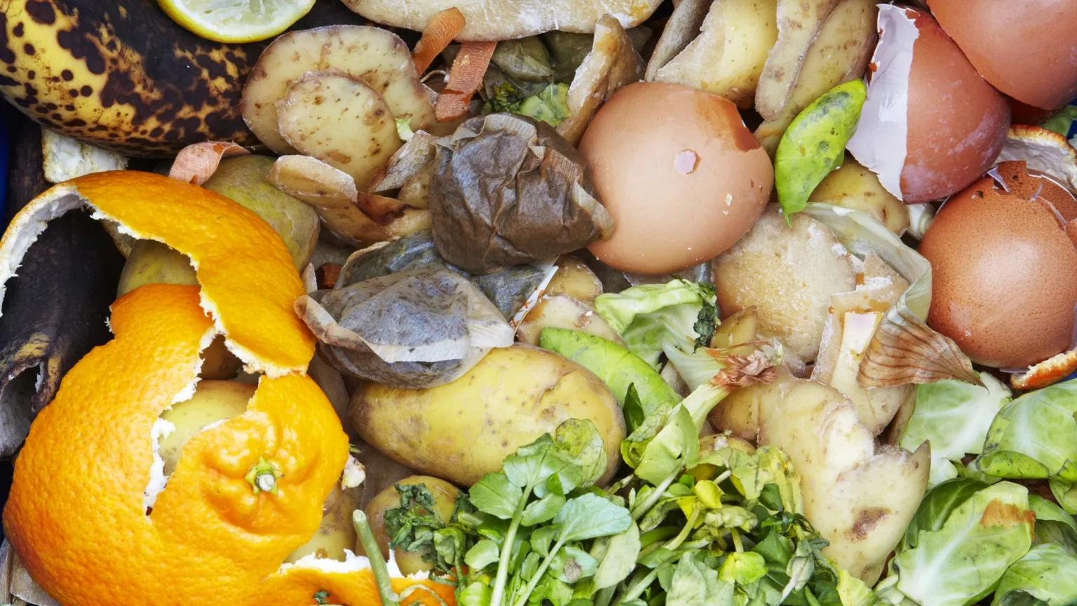 A clos-up view of scraps of fruits and vegetables, including orange and banana peel, leafy greens, and potato