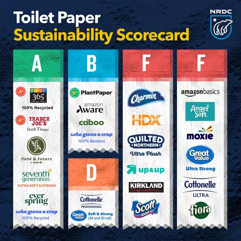 An infographic titled "Toilet Paper Sustainability Scorecard"