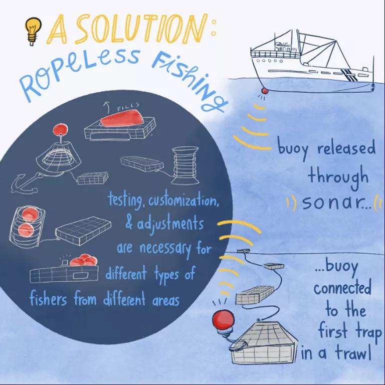 An illustration entitled "A solution: Ropeless fishing"