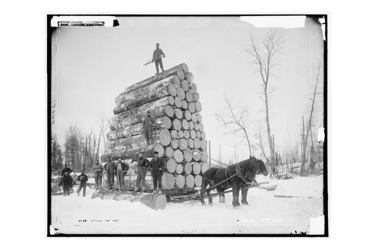 A black-and-white image shows a man standing atop a tall stack of logs that is being pulled by a horse-drawn sled