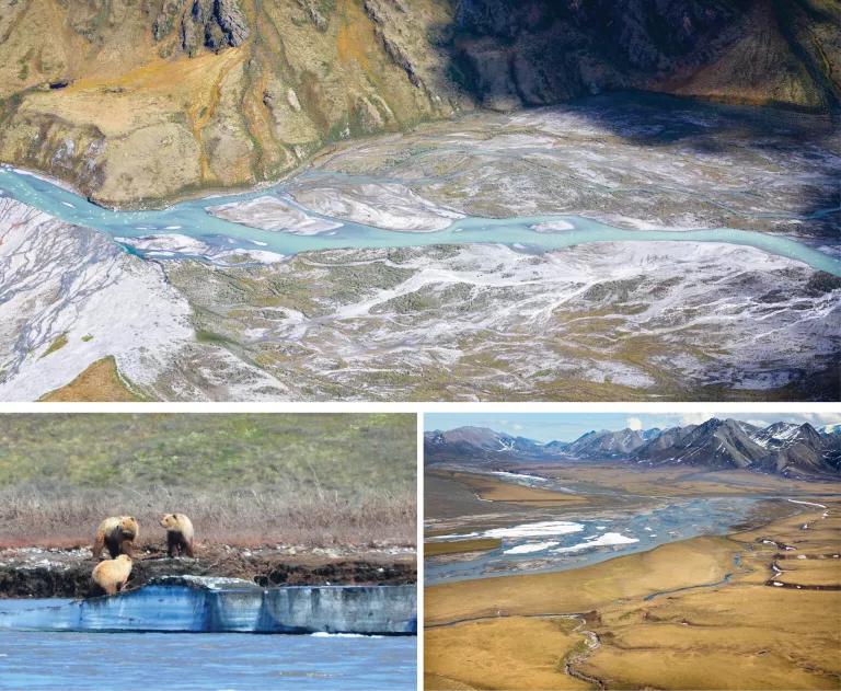 Top, a pale blue river flows through a valley; bottom left, three polar bears stand on a riverbank; bottom right, a snowy body of water at the foot of a tall mountain range