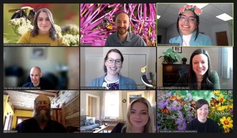 Advocates from public health, farming, and environmental groups created a buzz about the Birds and Bees Protection Act during a virtual lobby day on February 9, 2022. 