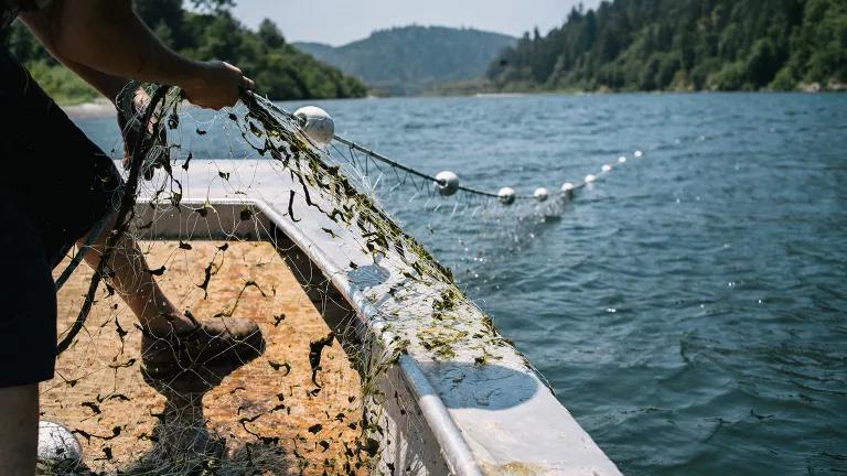 A person pulls a fishing net from the water onto the deck of a boat
