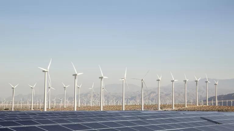 Dozens of wind turbines stand in rows behind a solar panel array with mountains in the distance