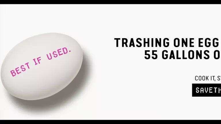 Save The Food ad. Image of egg stamped with Best if Used. Text reads: Trashing one egg wastes 55 gallons of water. Tag line: Cook it, Store it, Share it. Savethefood.com by the Ad Council and NRDC