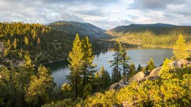 Sourcing for GSNR's facilities includes a 100-mile radius, placing forests such as the Stanislaus National Forest, pictured here, in the potential range.