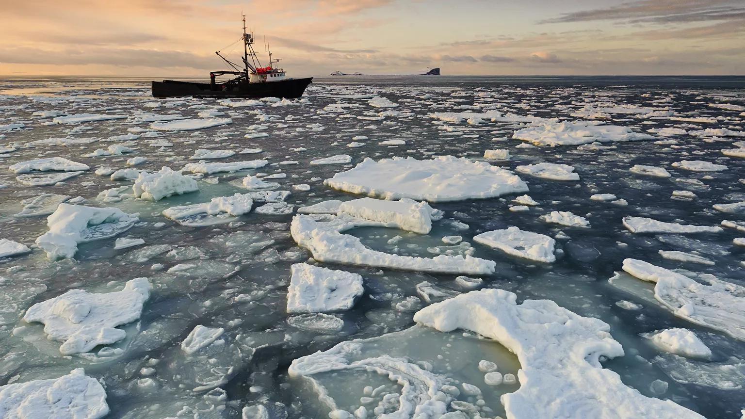 A fishing boat moves through the Bering Sea, a field of sea ice in the foreground