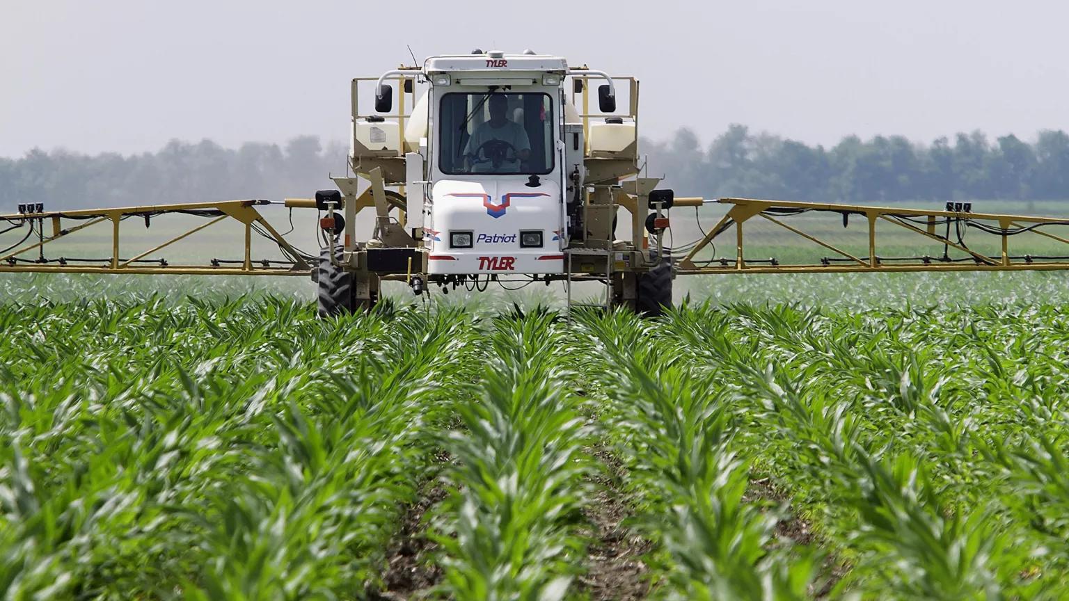 A cornfield being sprayed with glyphosate pesticide in Auburn, Illinois, on June 1, 2010.