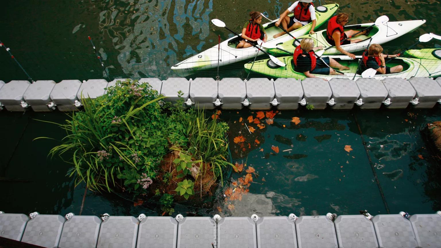 Kayakers on a river