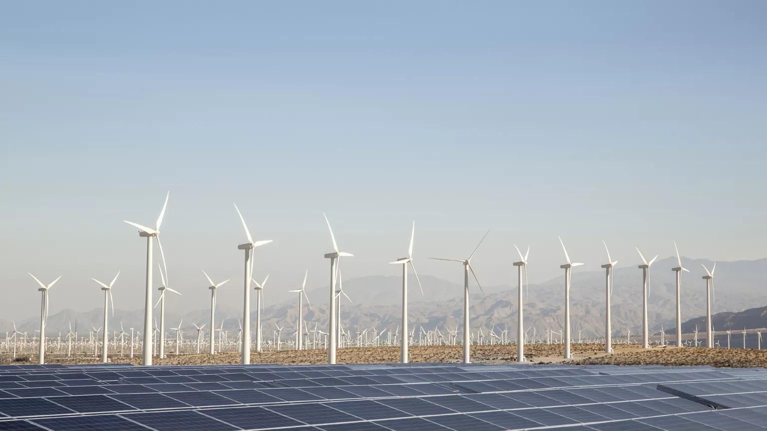 Renewables are on the rise in the United States