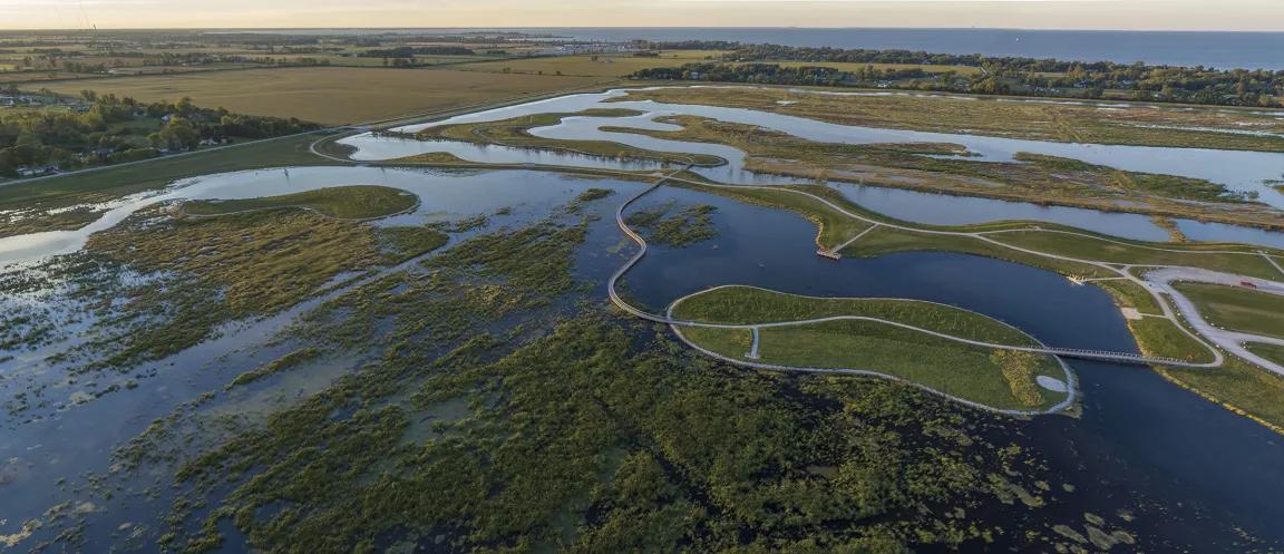 A marsh