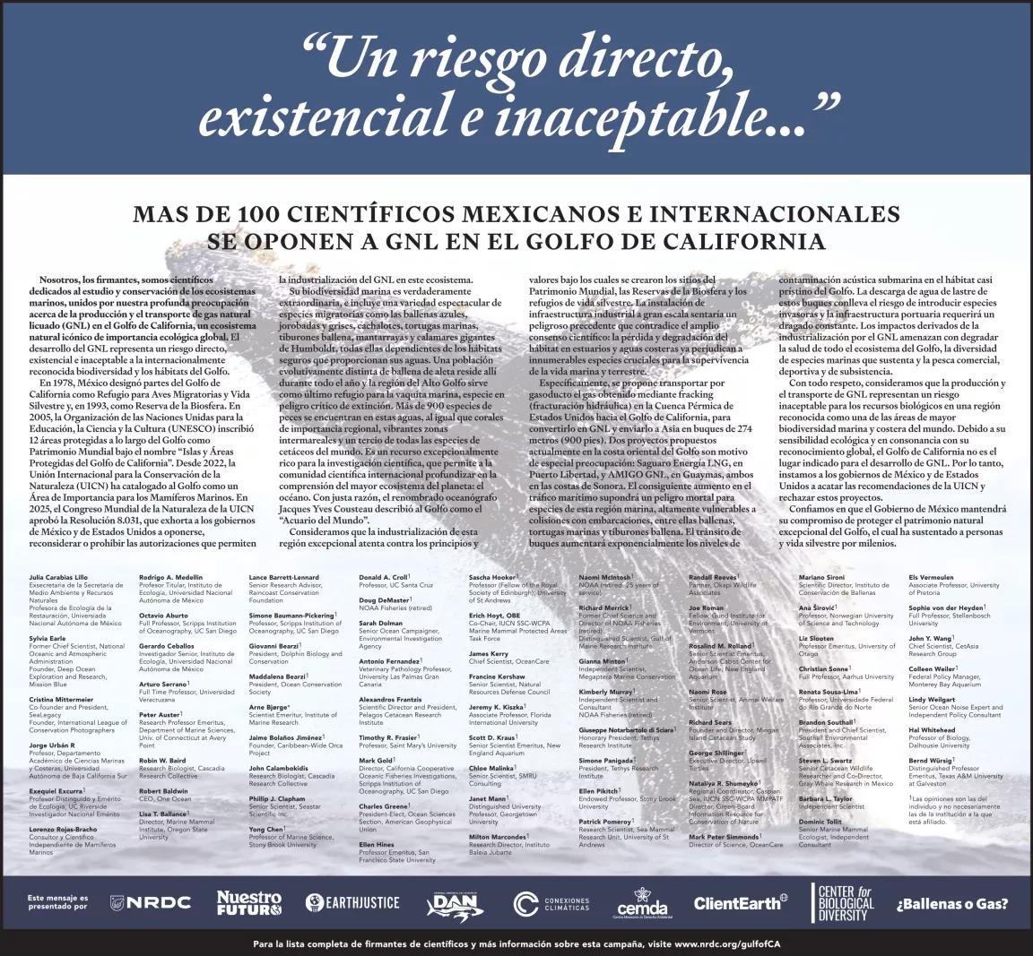 Print ad published in Mexico City’s “Reforma” newspaper on September 23, 2026. 

The ad is a joint statement from over 100 leading marine scientists voicing their opposition to the proposed construction and operation of liquefied natural gas (LNG) projects in the iconic Gulf of California (also called the Sea of Cortez).