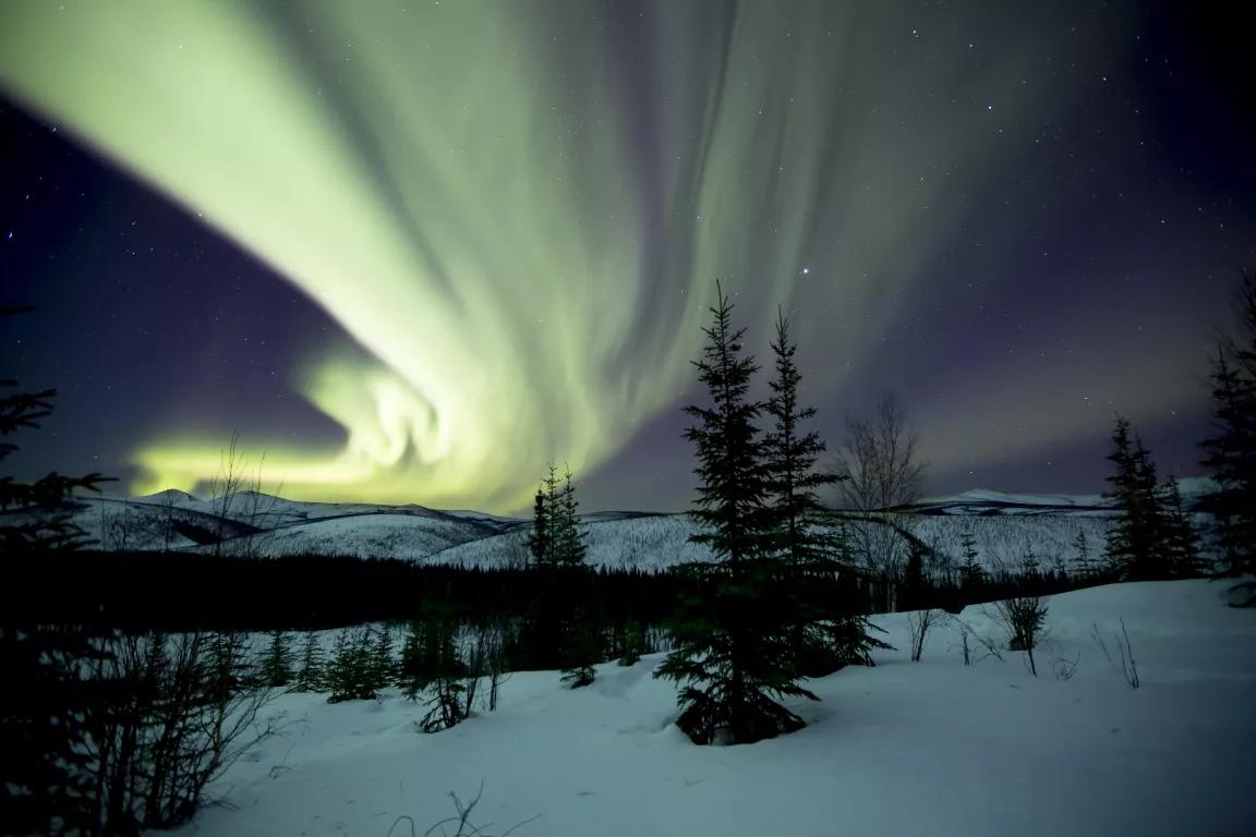 Aurora borealis vsible in the night sky above a snowy field with trees