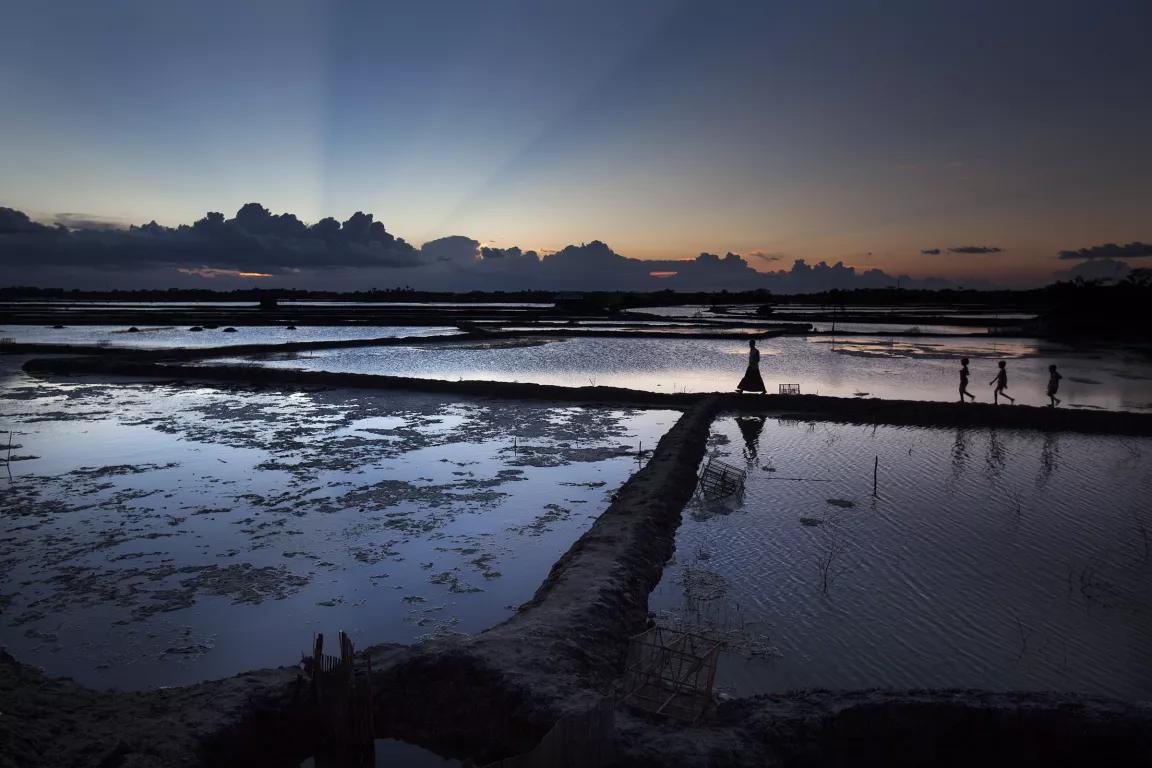 A woman walks through rice paddies at sunset