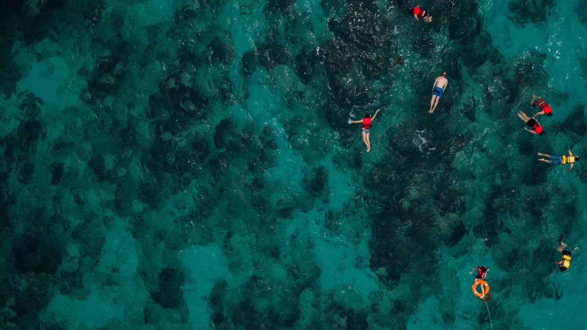 Snorkelers float and play in the ocean