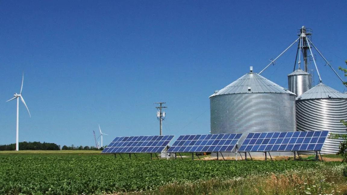 Các tấm năng lượng mặt trời, tua-bin gió và thùng chứa ngũ cốc tại một trang trại ở Palms, Michigan.