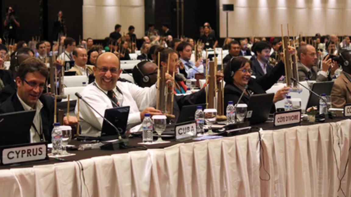 Bali meeting Montreal Protocol 11-11.PNG