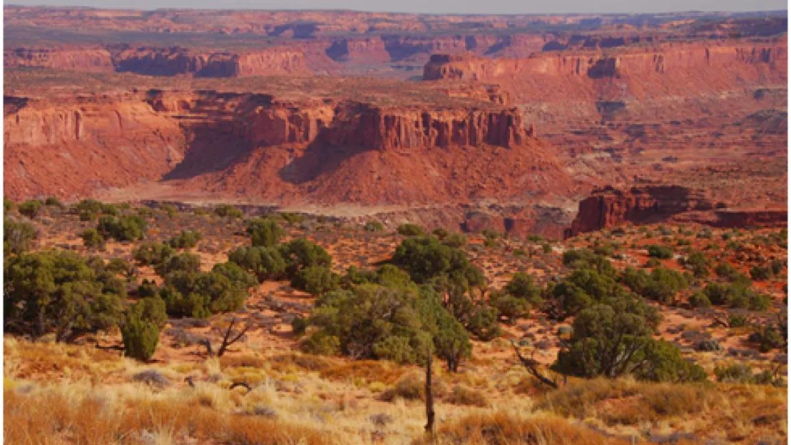 Fiddler Butte in Utah, one of the wild lands that would remain vulnerable with passage of the wild lands rider. (© Courtesy of Ray Bloxham, & Southern Utah Wilderness Alliance)