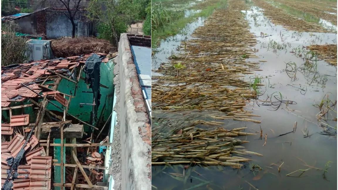 Damaged houses and submerged crops in Gujarat due to Cyclone Tauktae 