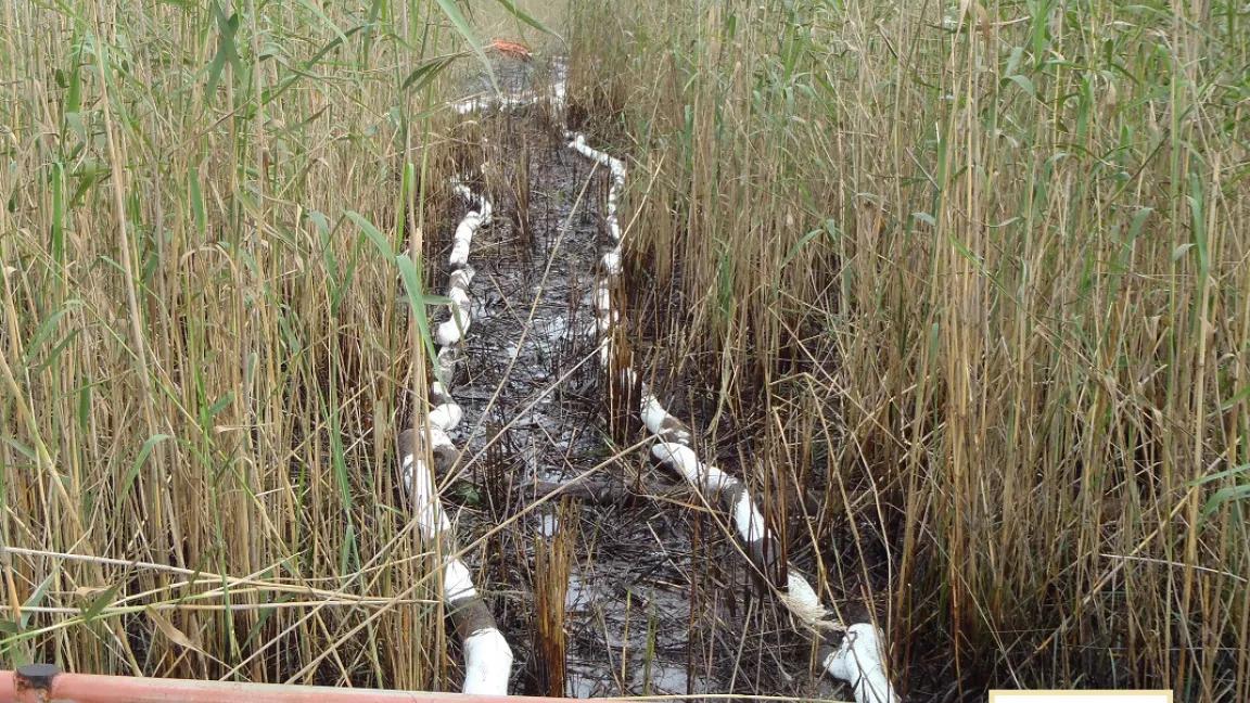 Oil spilled in marsh at Delta NWR
