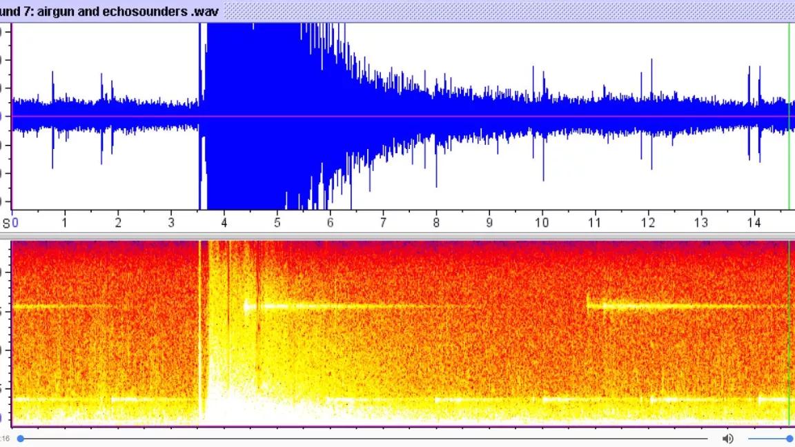 Seismic audiogram
