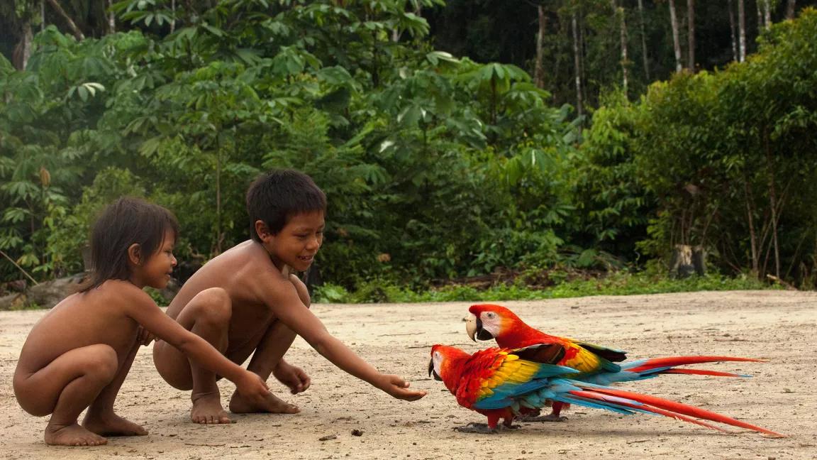 Children play with parrots on a sandy clearing