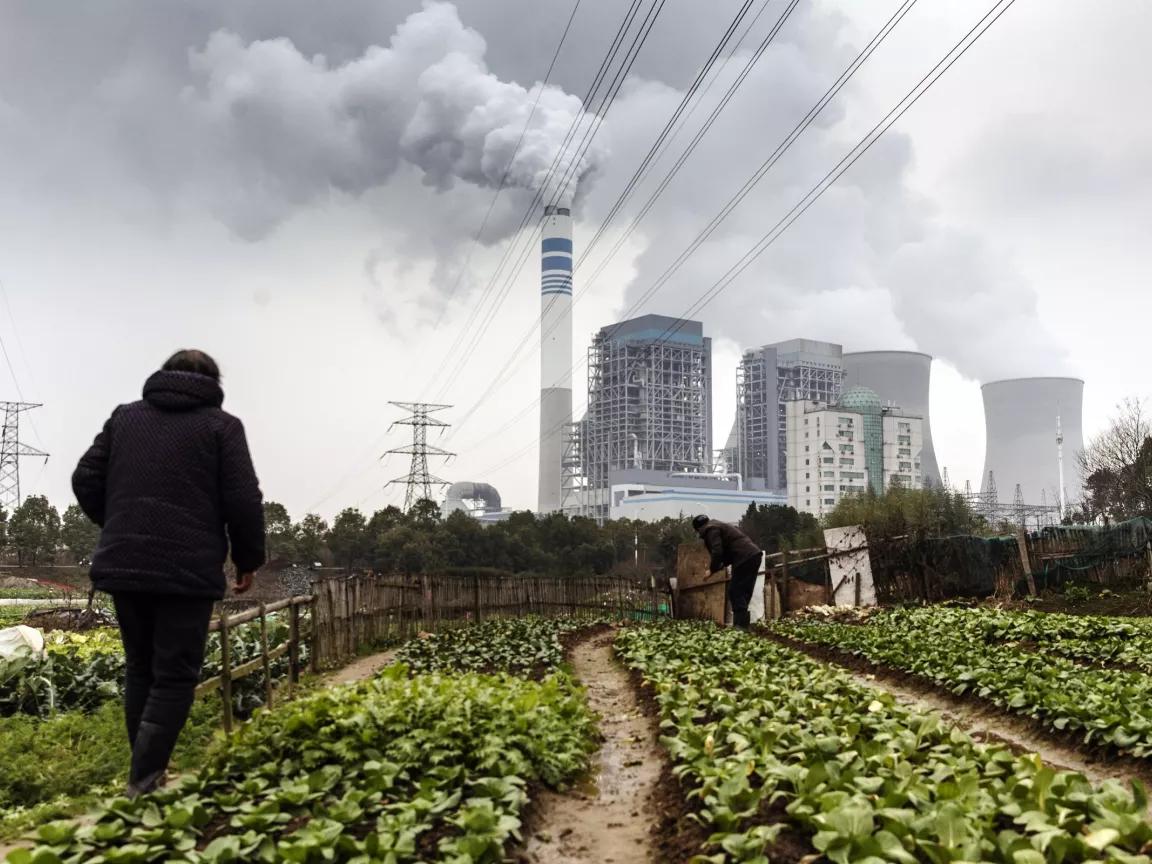 A person walks between rows of crops with huge industrial cooling towers in the distance