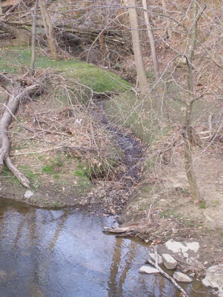 photo of channel leading to Four Mile Run, a tributary of the Potomac River