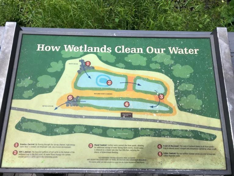 A wetland sign 
