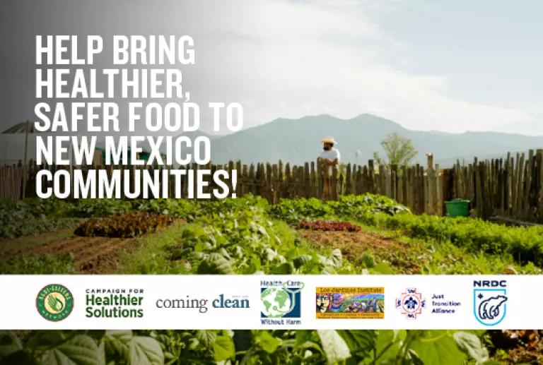 Advocacy graphic featuring logos of the organizations involved in the Local Food Solutions project.