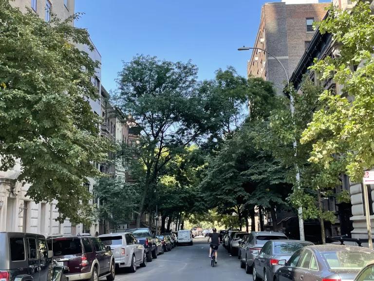 Street trees offer shade and cooling and can prevent extreme heat deaths.