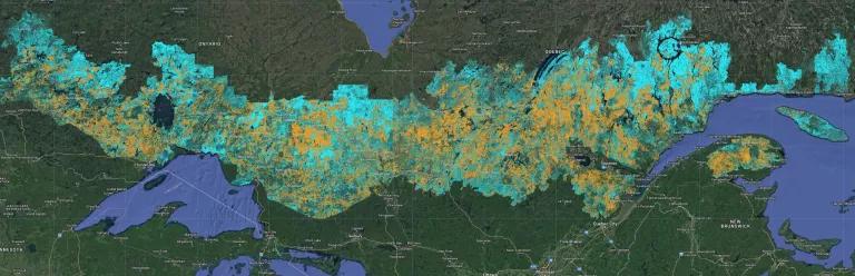 An aerial view showing a heat map of where forests were clearcut and where they are 100 years old