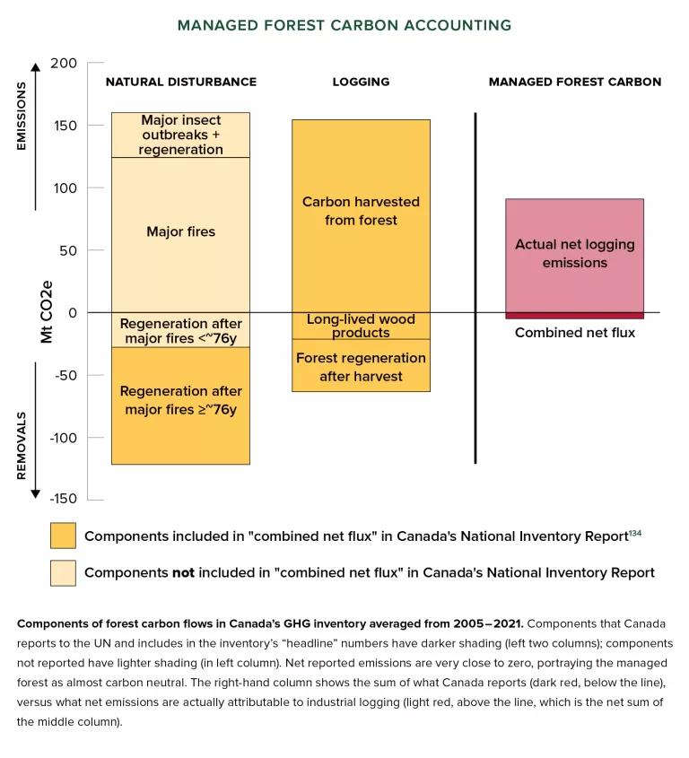 A bar chart titled "Managed Forest Carbon Accounting"