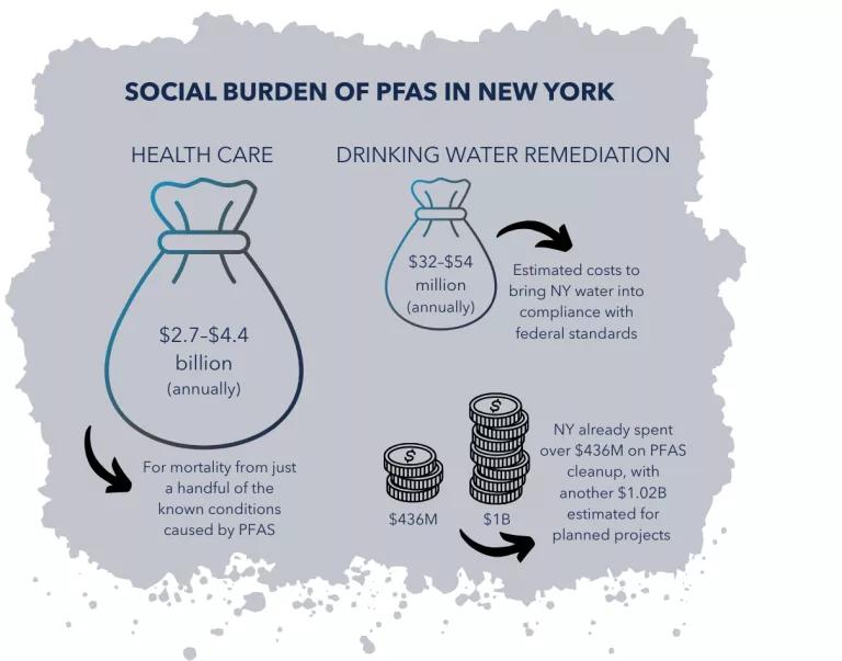 A graphic titled "Social Burden of PFAS in New York"
