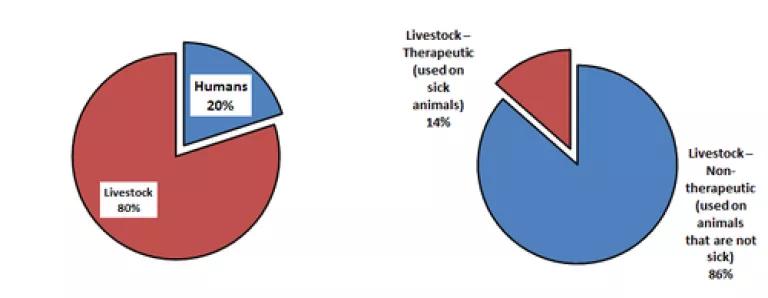 Abx graph 3.png