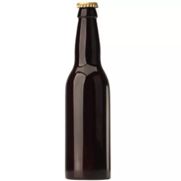 Beer bottle courtesy fantendo.wikia.com.jpg