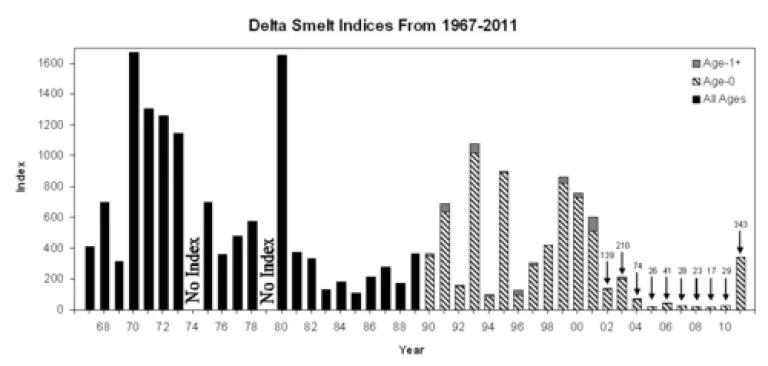 DFG Delta smelt FMWT graph.gif