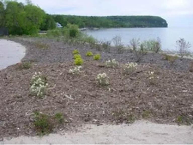 Door County.jpg