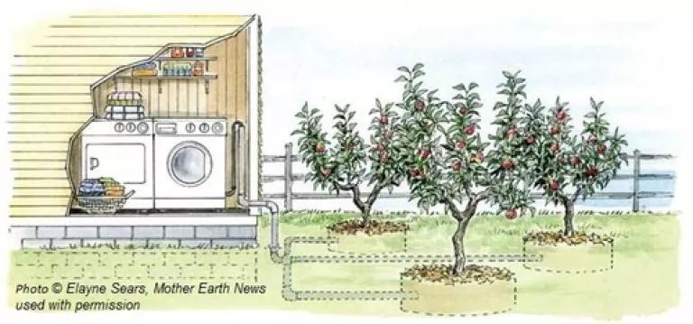 Laundry to Landscape (Elayne Sears, Mother Earth News).jpg