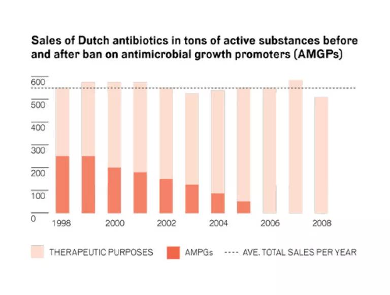 Netherlands Graph.jpg