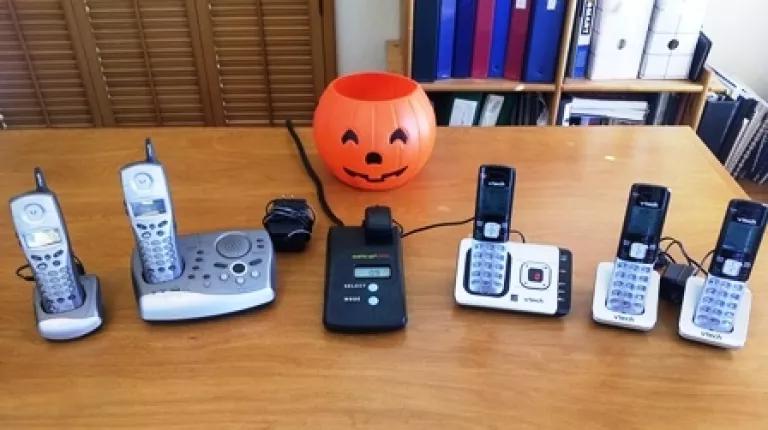 PD Phone and pumpkin pic.jpg