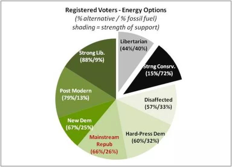 Registered Voter energy options by shading.jpg