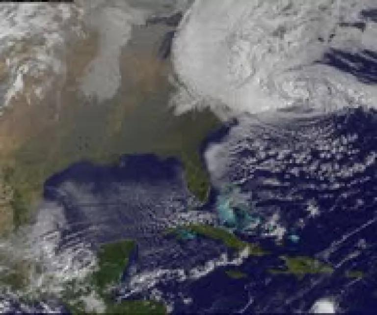 Sandy.jpg