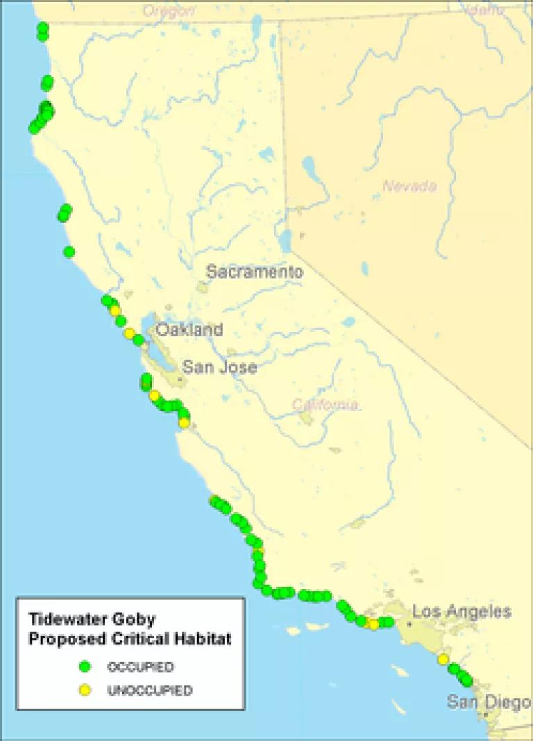 Tidewater Goby Proposed Critical Habitat (NRDC 2011)