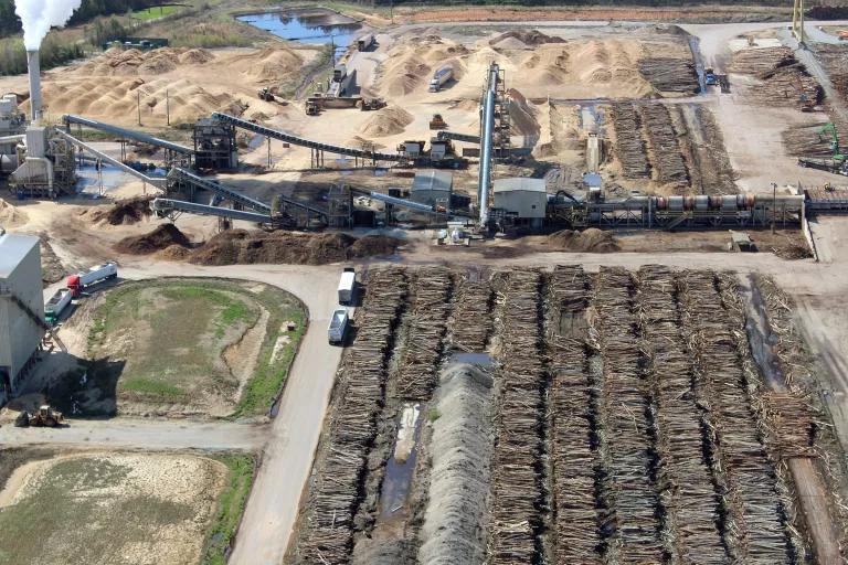 An aerial view of a processing site shows hundreds of cut logs stacked in rows