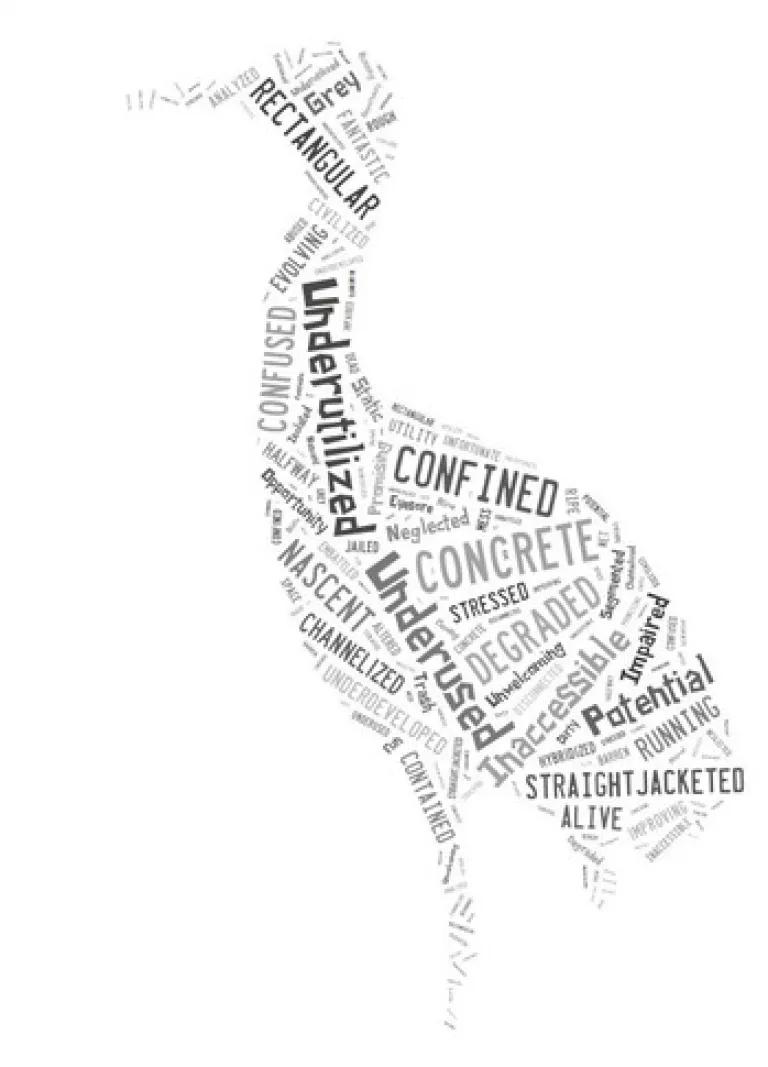 blk bird.jpg