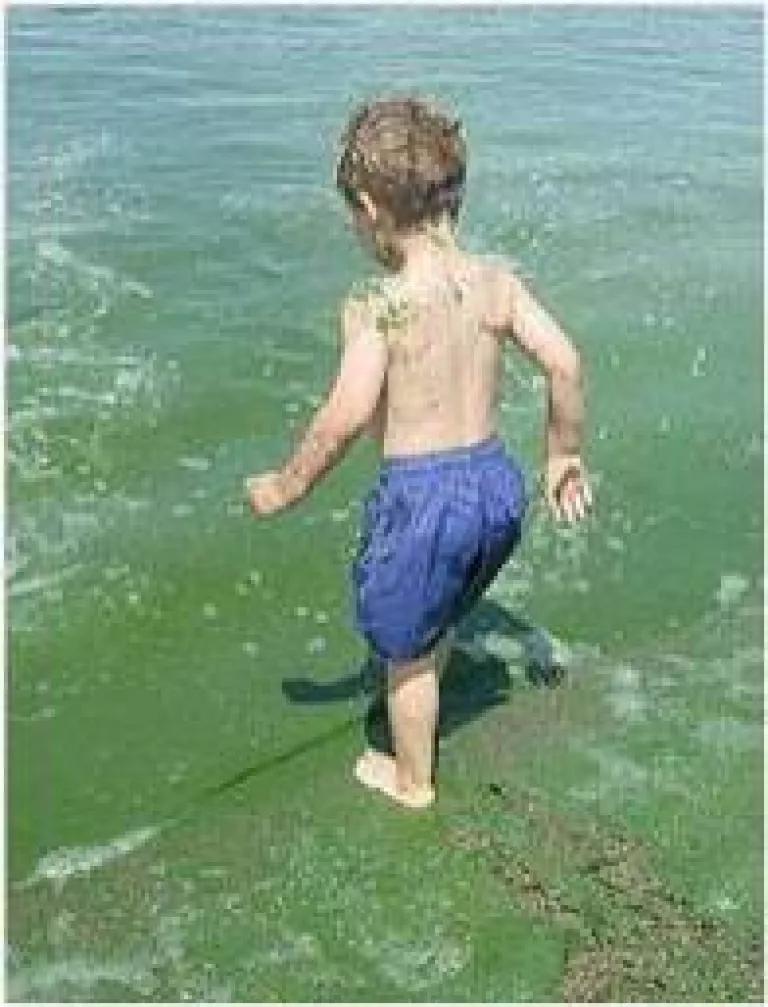 child in algae.jpg