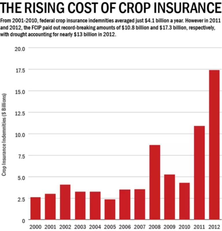crop loss graph.png