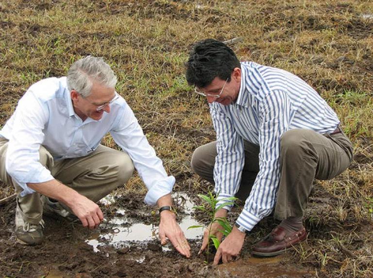 NRDC Executive Director Peter Lehner and Jose Joaquin Campos, the director of CATIE, planting a tree in Costa Rica