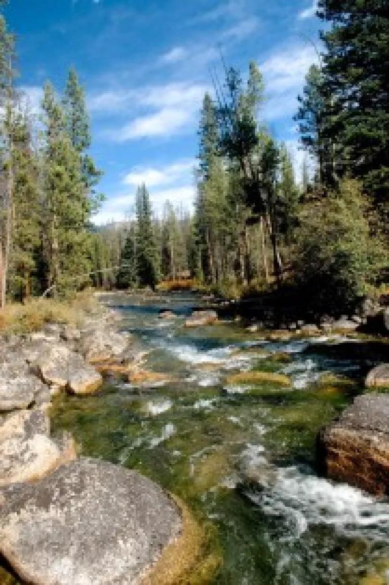 Small streams filter pollution, recharge drinking water supplies, provide flood protection and serve as habitat for fish and wildlife. (US EPA)